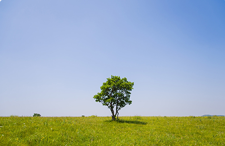 Improve systems, standardize processes, and strictly fulfill the obligation of information disclosure 